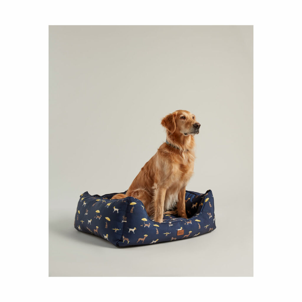 Joules Canvas Dog Print Bed Pet Megastore